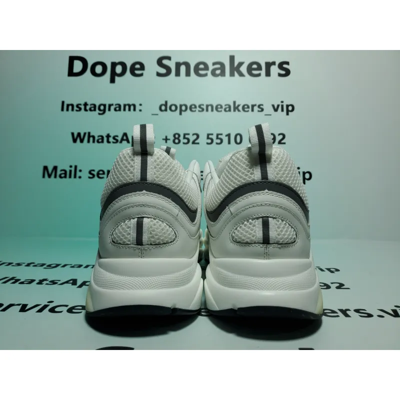 Dior B22 White Grey