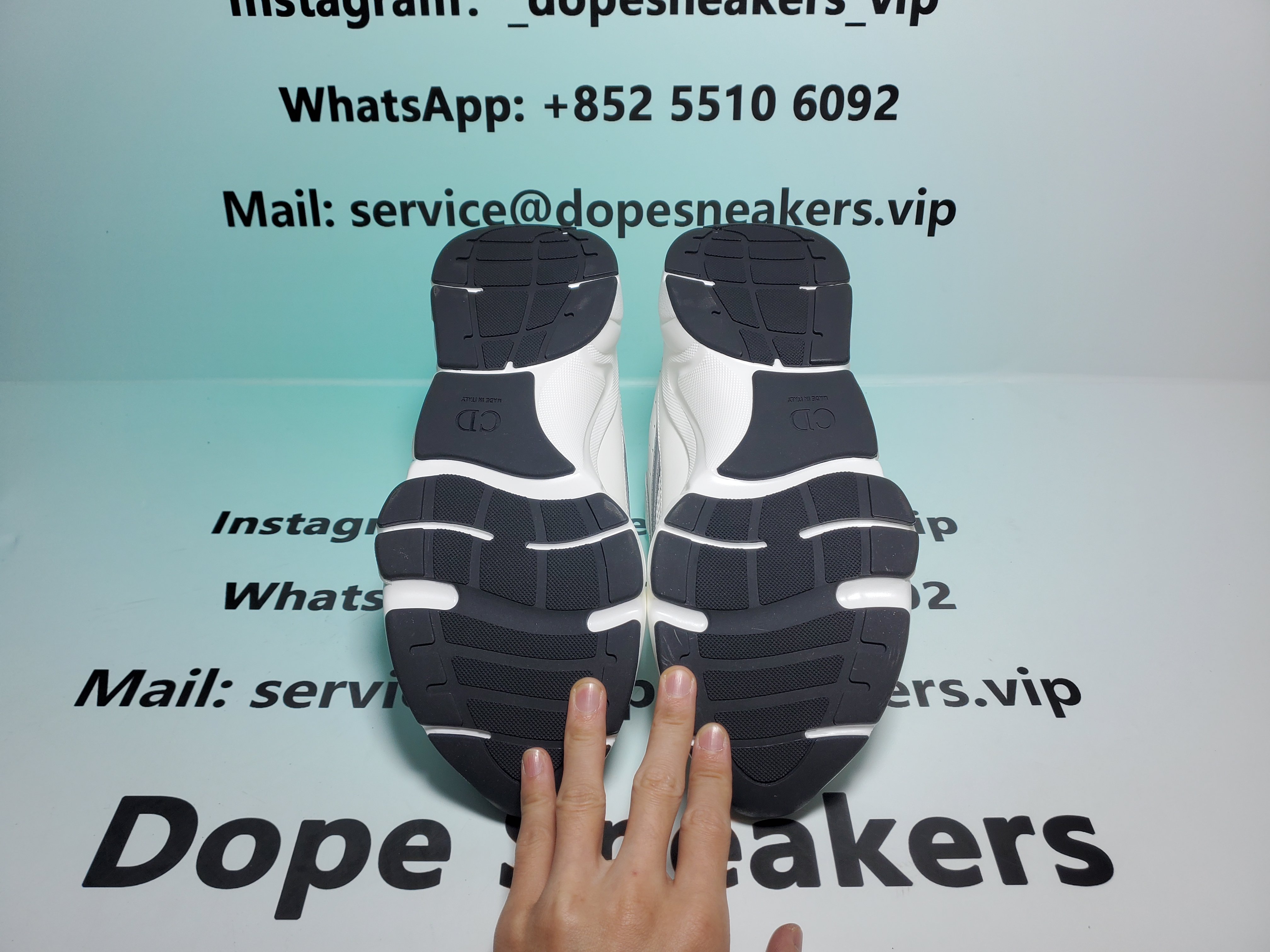 Dior B22 White Grey