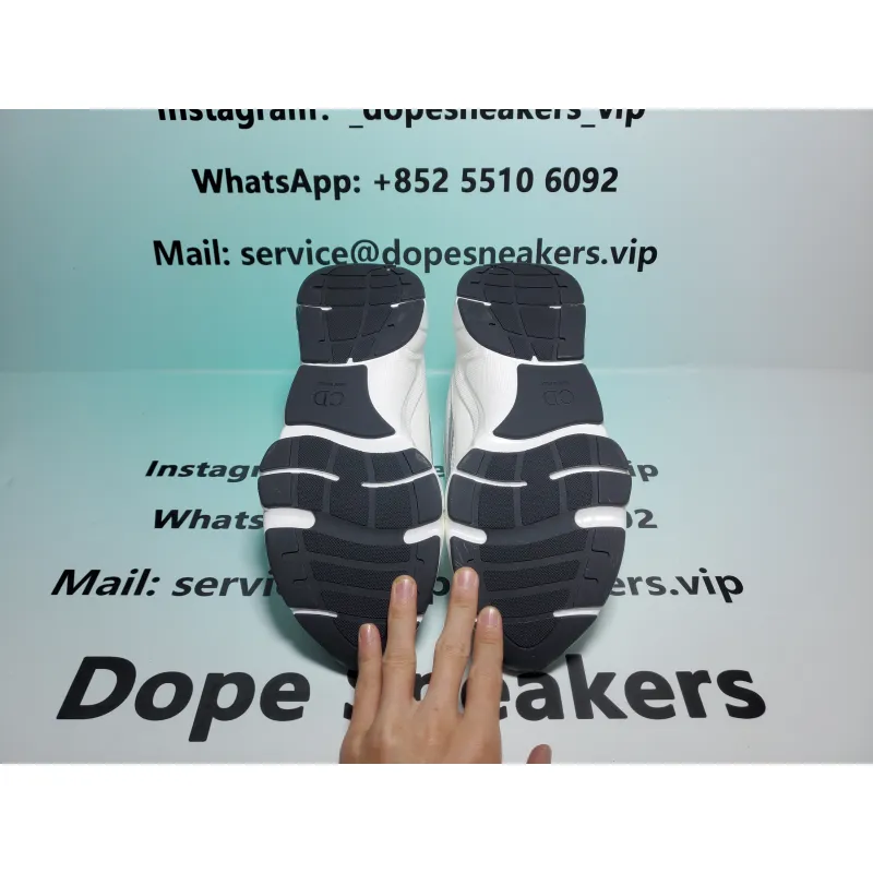 Dior B22 White Grey