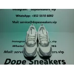 Dior B22 White Grey