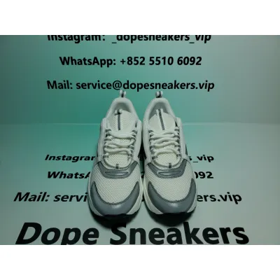 Dior B22 White Grey 02