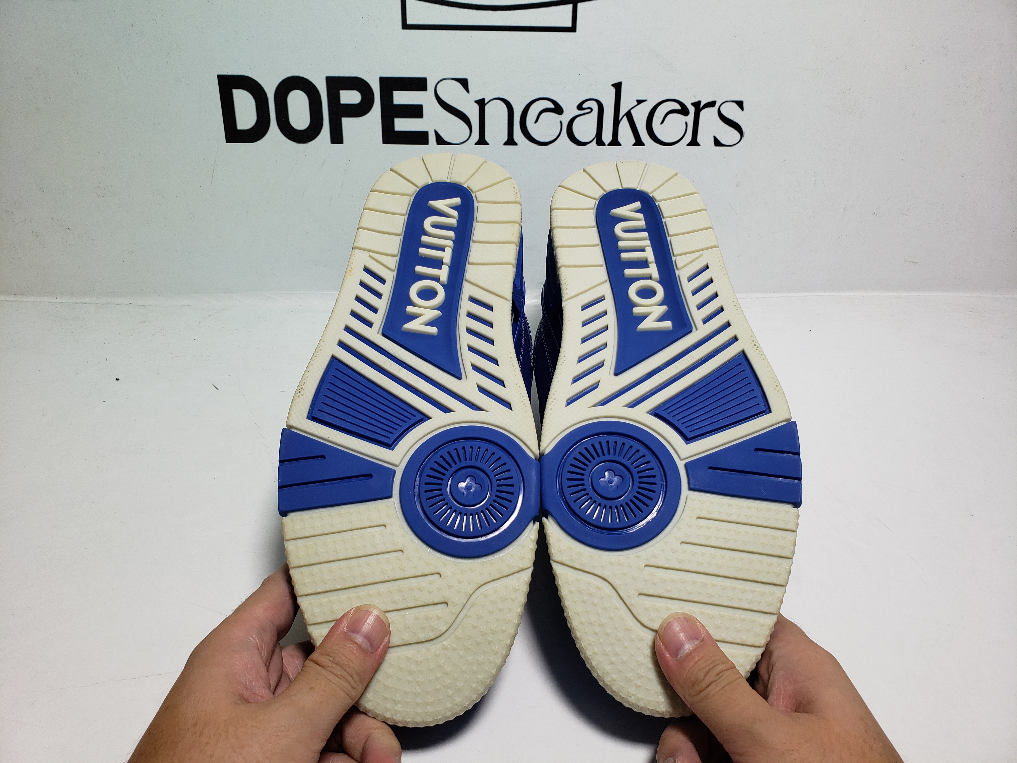 Louis Vuitton LV Skate Sneaker Blue