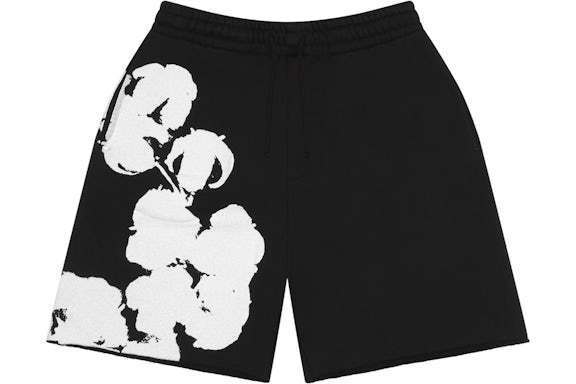 DT sport shorts # 29