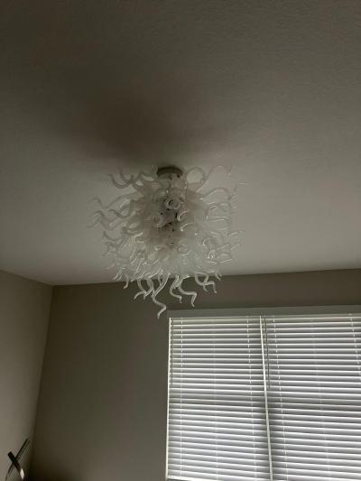 Chihuly Style Chandelier Blown Glass Light Fixtures (Clear White)  review Regina 01
