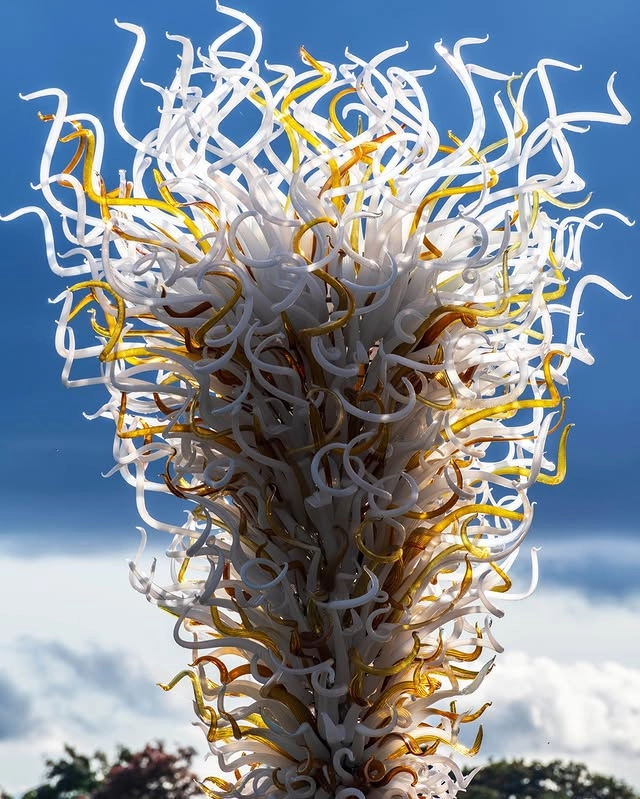 Chihuly Style Chandelier