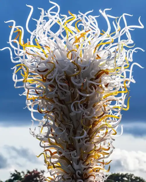 The Evolution of Glass Chandeliers by Chihuly: From Concept to Iconic Installations