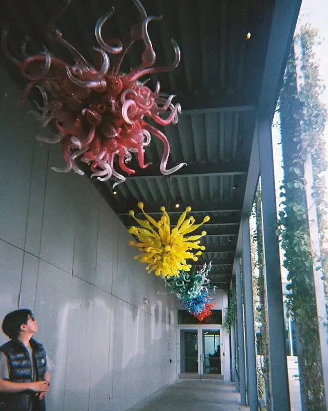 Chihuly Chandeliers