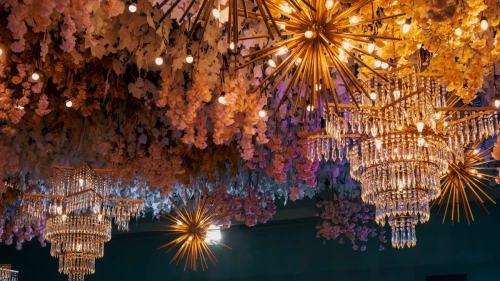The Ultimate Guide to Unique Chandeliers: From Artistic Designs to Chihuly-Inspired Masterpieces