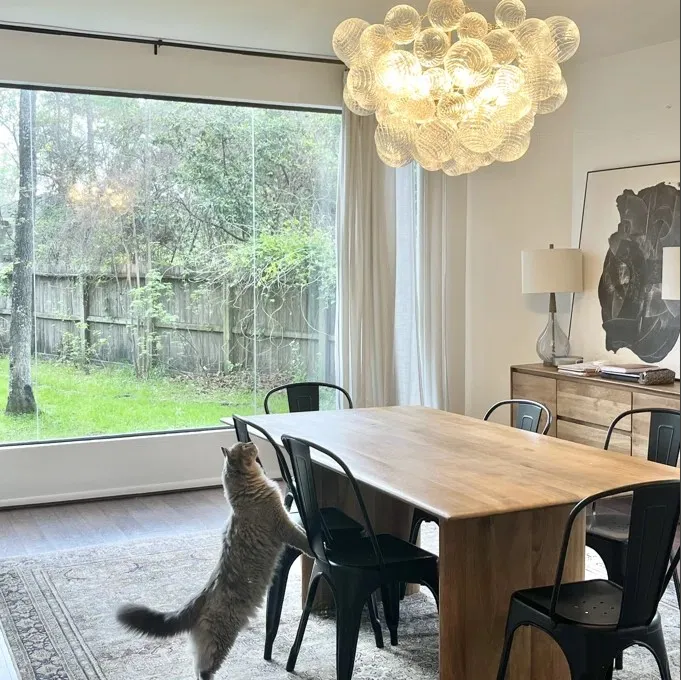 bubble glass pendant light