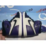 PKGoden Air Jordan 1 Retro High Court Purple,555088-501