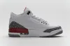 PKGoden Jordan 3 Retro Hall of Fame