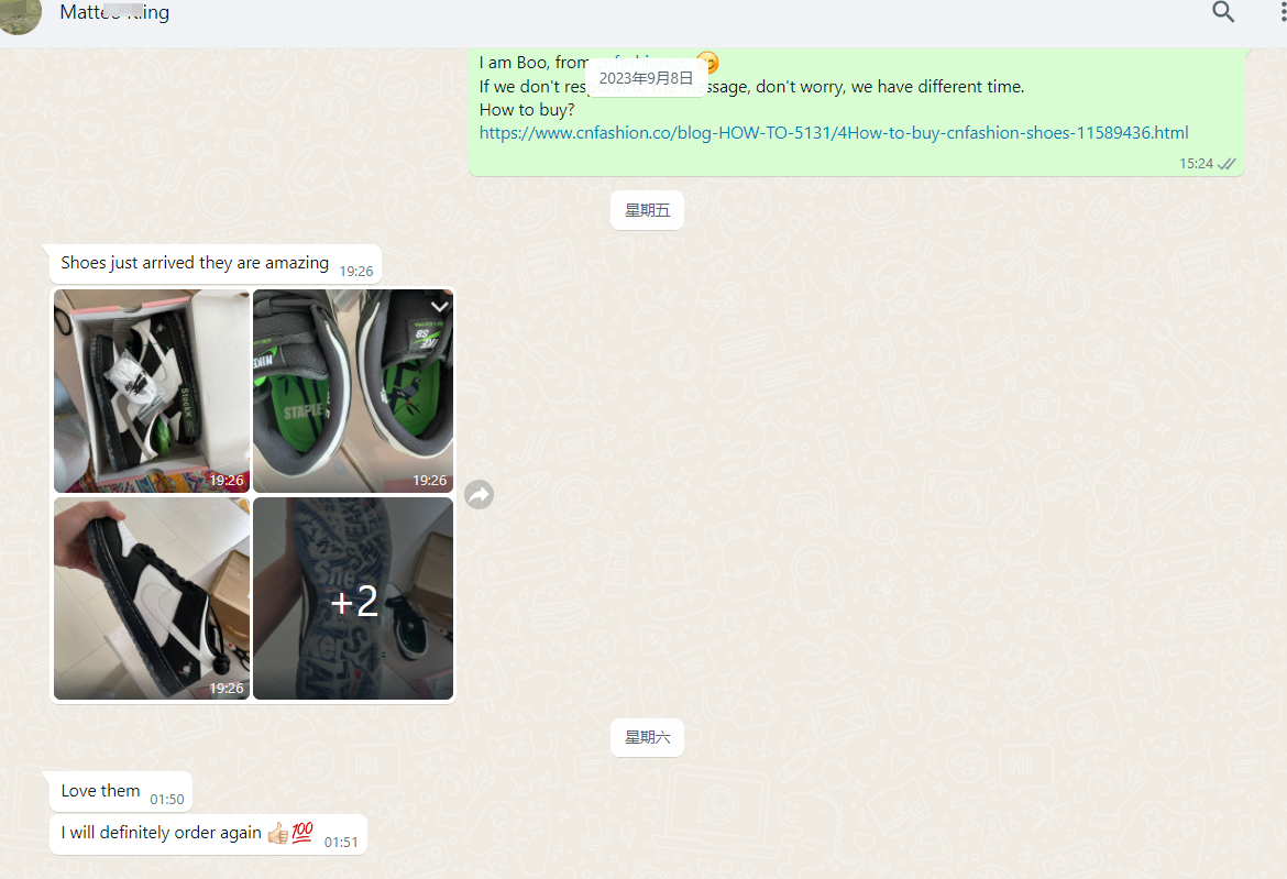 PKGoden SB Dunk Low Staple Panda Pigeon