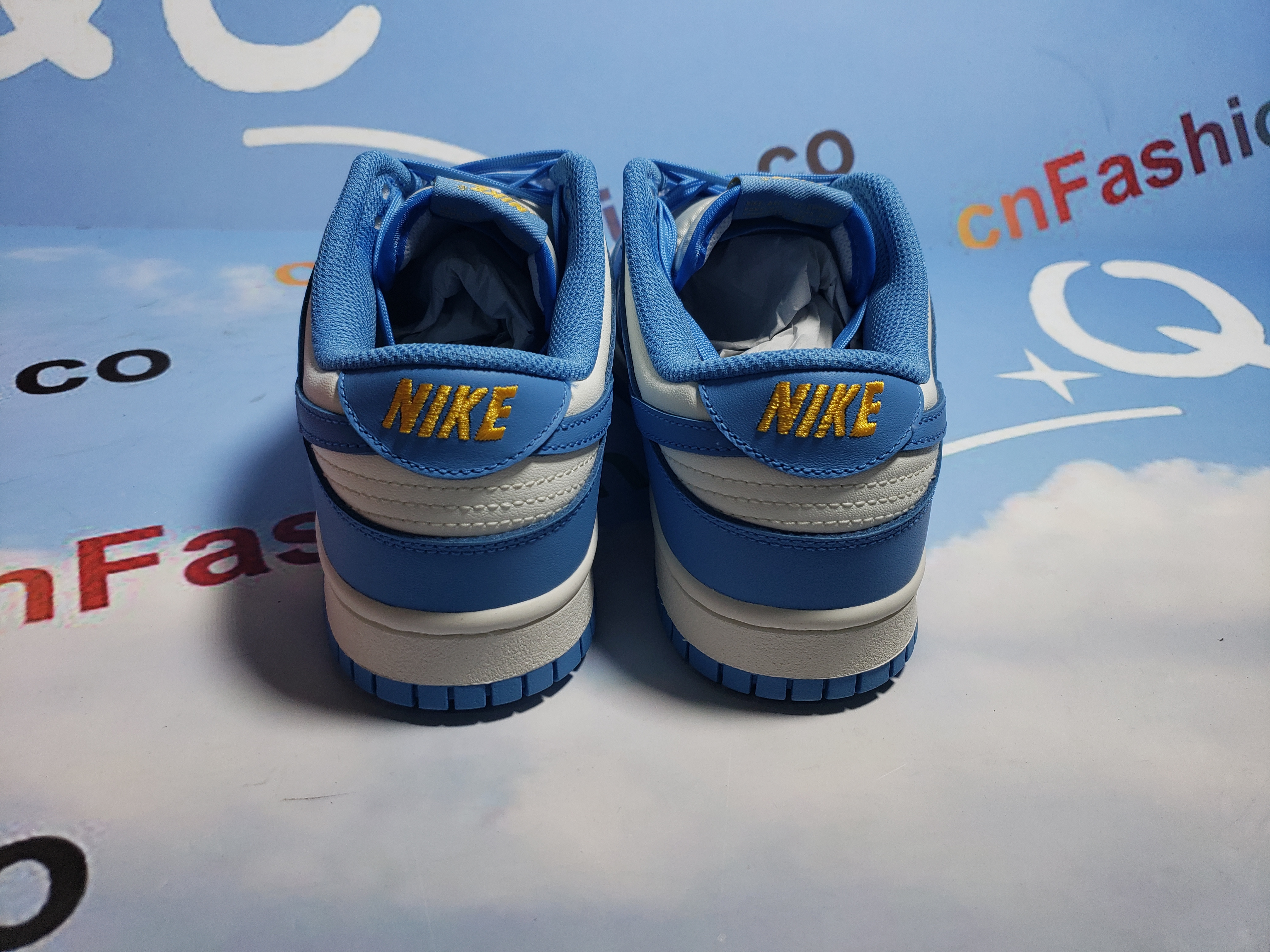 OG Dunk Low Coast (W)DD1503-100