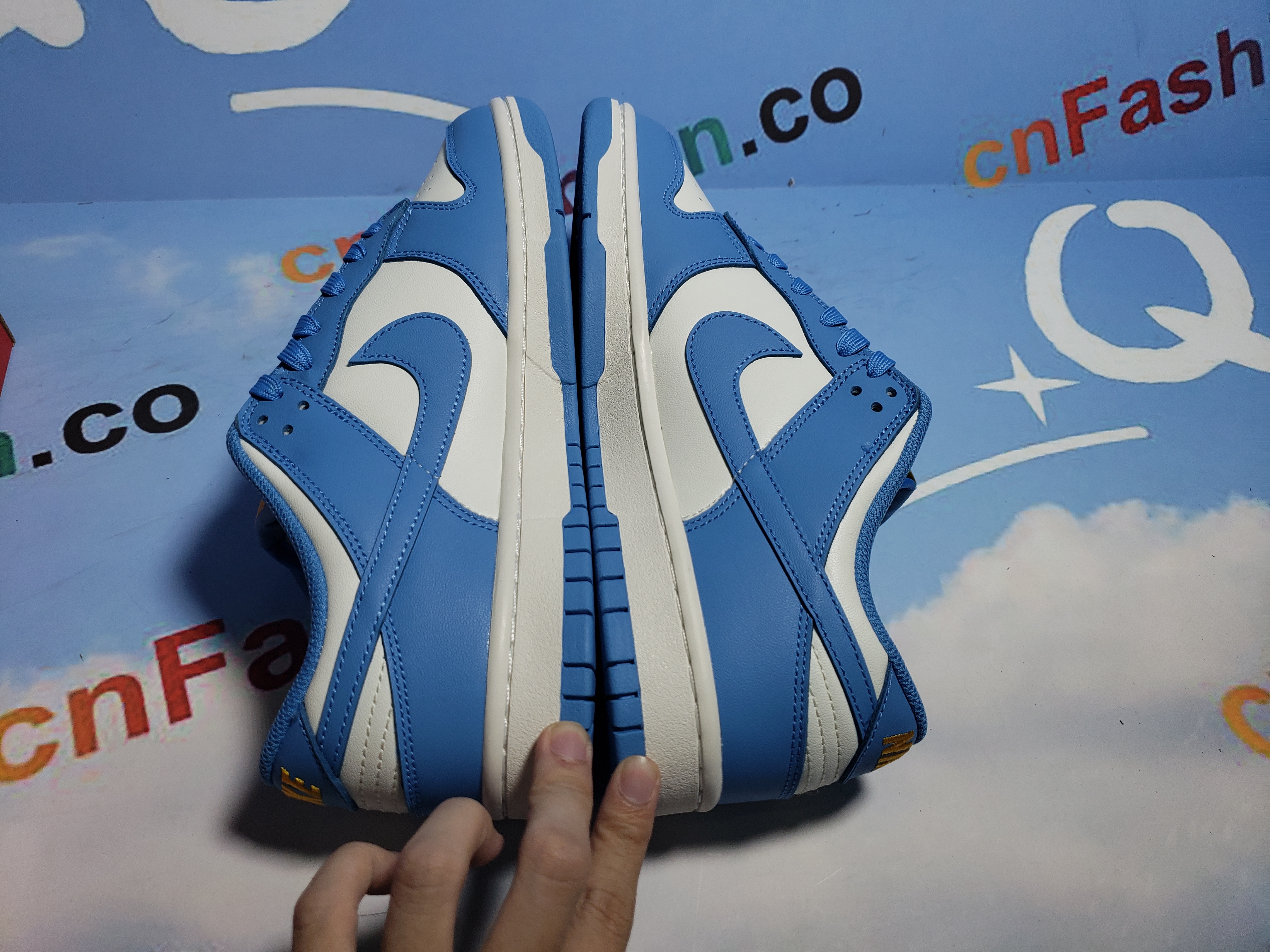 OG Dunk Low Coast (W)DD1503-100