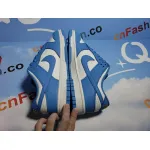OG Dunk Low Coast (W)DD1503-100