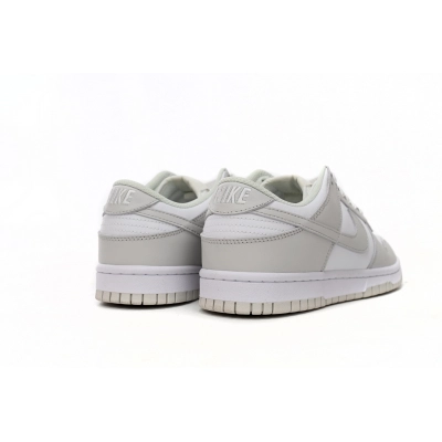 OG Dunk Low Photon Dust,DD1503-103 02