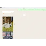 OG Yeezy Foam RNNR Ararat