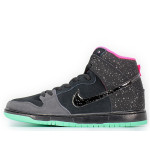 PKGoden Dunk SB High Premier Northern Lights,313171-063