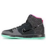 PKGoden Dunk SB High Premier Northern Lights,313171-063