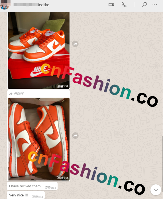 PKGoden Dunk Low SP Syracuse (2020)CU1726-101