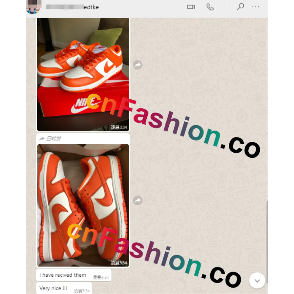 PKGoden Dunk Low SP Syracuse (2020)CU1726-101