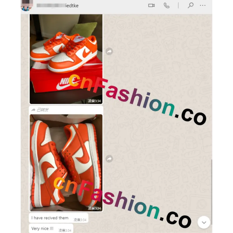 PKGoden Dunk Low SP Syracuse (2020)CU1726-101