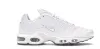 OG Air Max Plus White