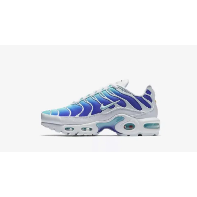OG Air Max Terrascape Plus TNE EST Disponible