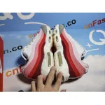 OG Air Max 95 Anatomy of Air GID, DM0012-600