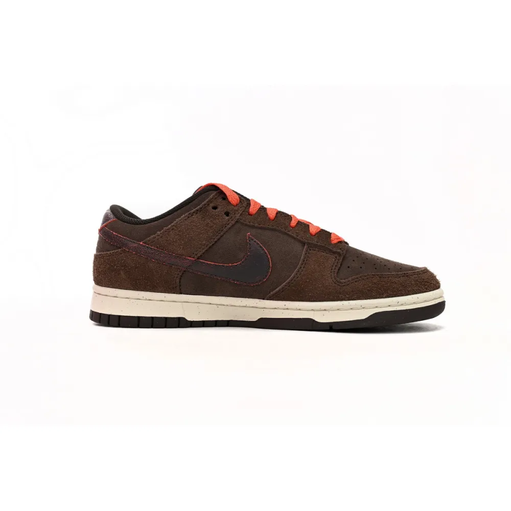 BMLin Dunk Low Premium Baroque BrownDQ8801-200 