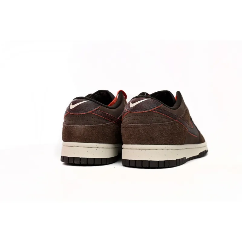 BMLin Dunk Low Premium Baroque BrownDQ8801-200 