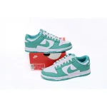 BMLin Dunk Low Clear JadeDV0833-101