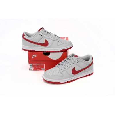 BMLin Dunk Low Vast Grey Varsity RedFJ0832-011 02