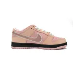 PKGoden Dunk SB Pink Lobster,BV1310-800