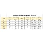The North Face 1996 Printed Retro Nuptse 700 Fill Packable Jacket