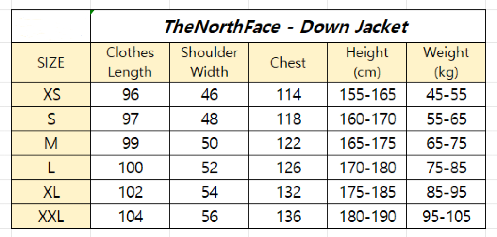 The North Face Down Jacket