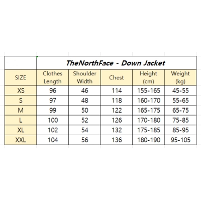 The North Face Down Jacket 02