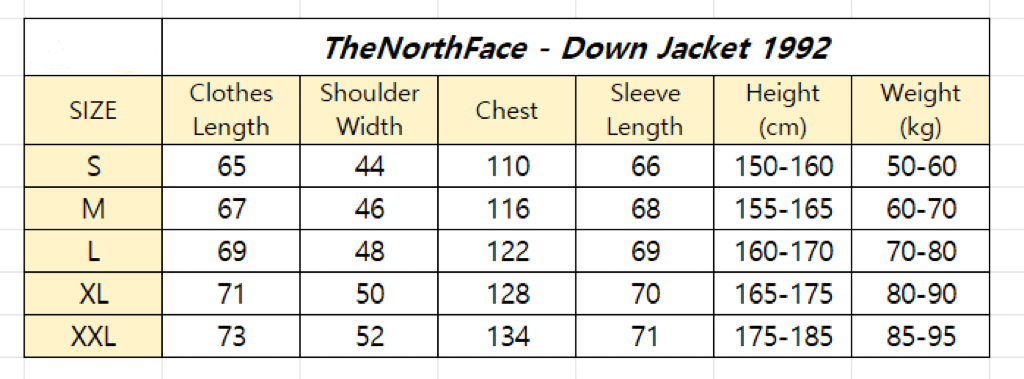 The North Face 1992 Down Jacket