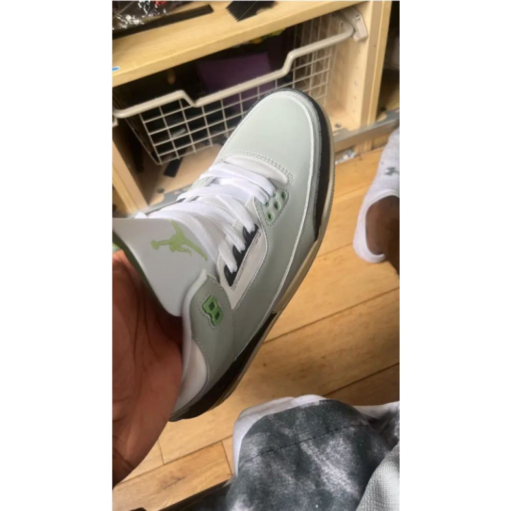 OG Jordan 3 Retro Chlorophyll 136064-006