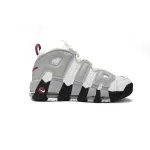 Air More Uptempo Rosewood DV1137-100