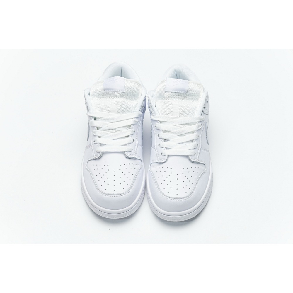 OG Dunk SB Low White Ice