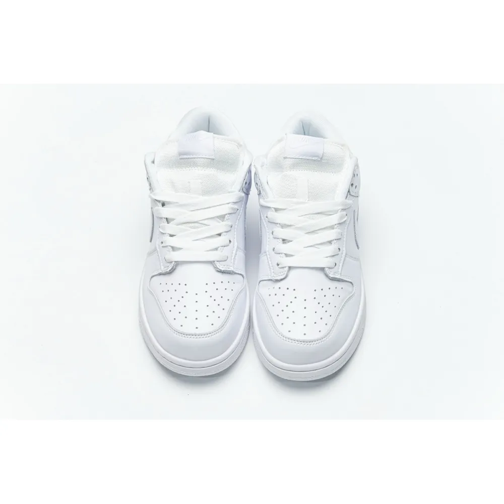 OG Dunk SB Low White Ice