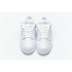 OG Dunk SB Low White Ice