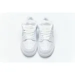 OG Dunk SB Low White Ice