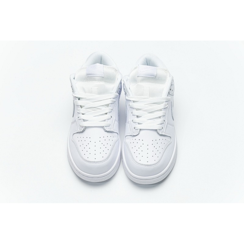 OG Dunk SB Low White Ice