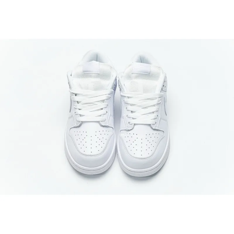 OG Dunk SB Low White Ice