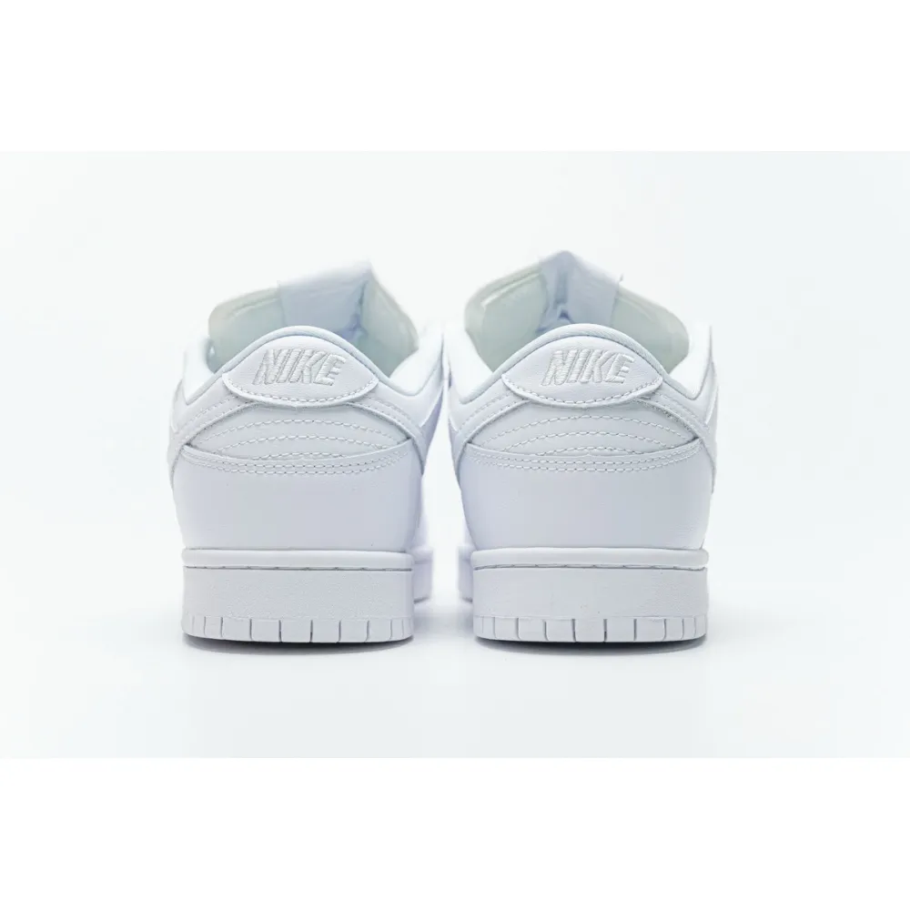 OG Dunk SB Low White Ice