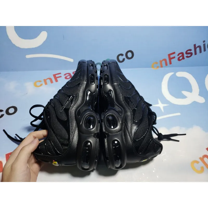 OG Air Max Plus Triple Black
