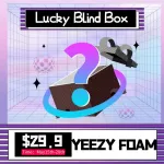 YEEZY FOAM - LUCKY BLIND BOX
