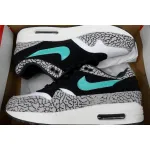 Atmos x Air Max 1 Retro Elephant 908366-001 